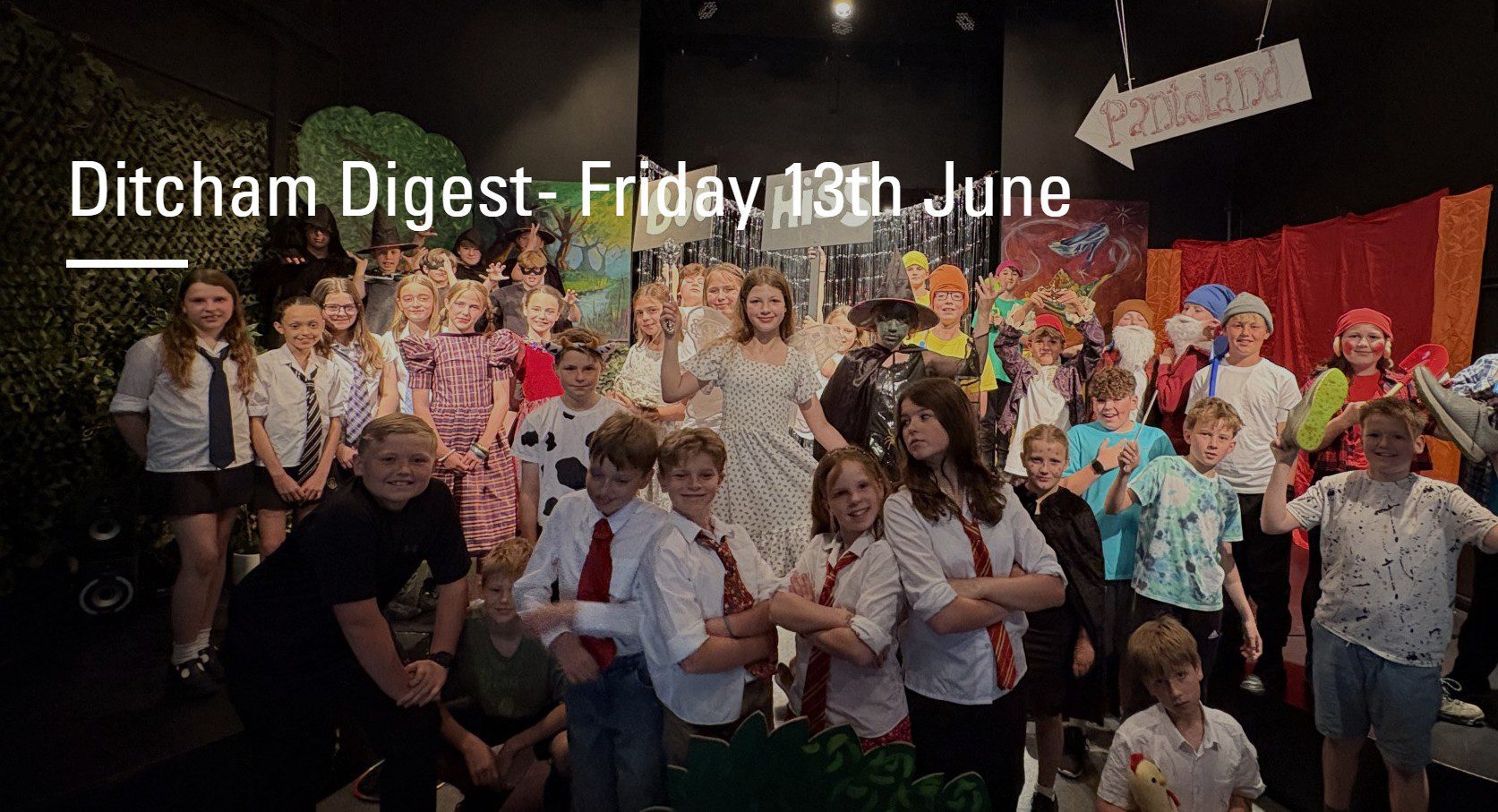 ditcham digest