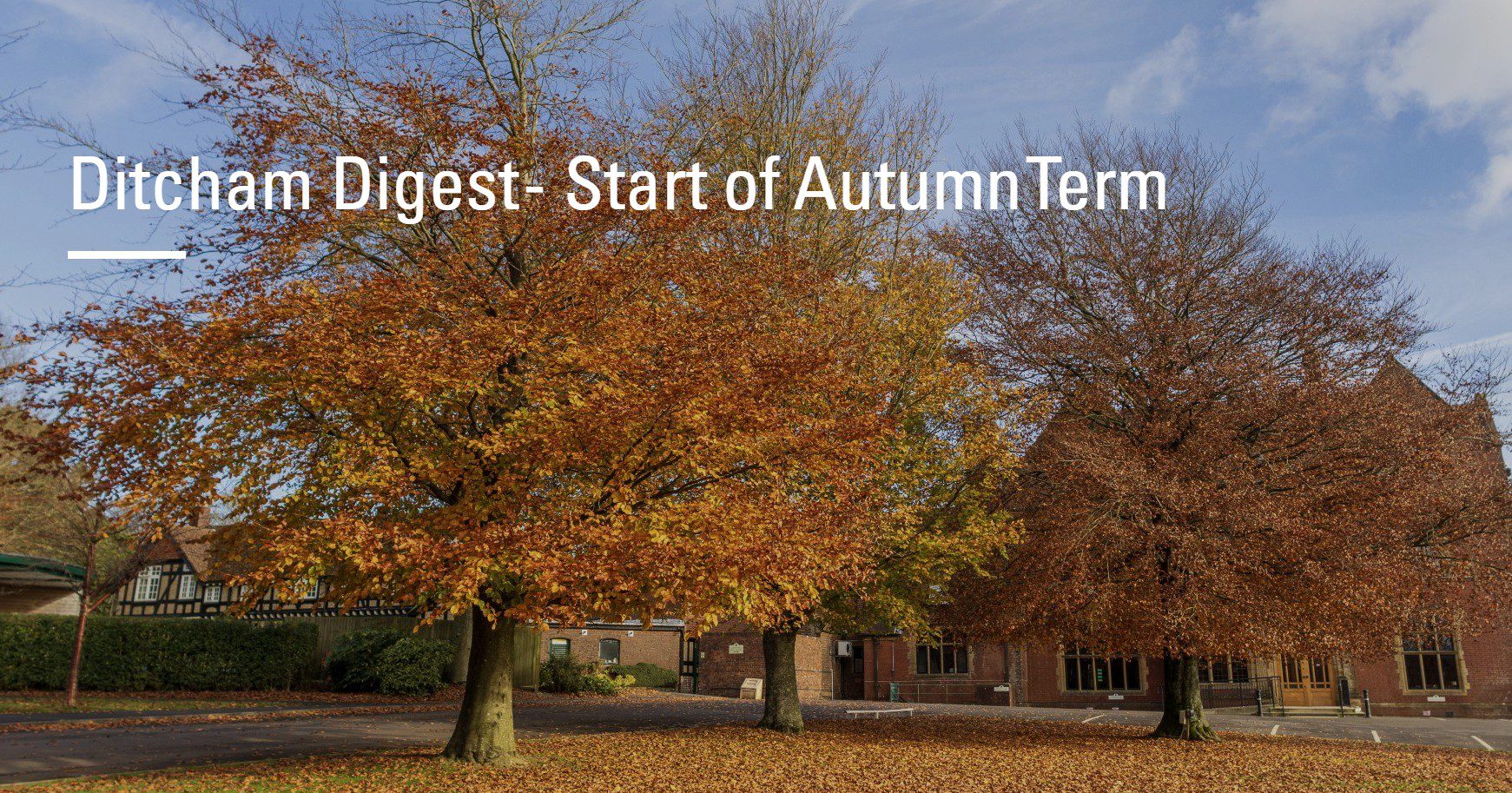 Ditcham Digest - First Week Back